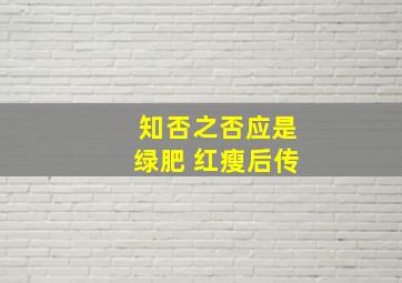 知否之否应是绿肥 红瘦后传